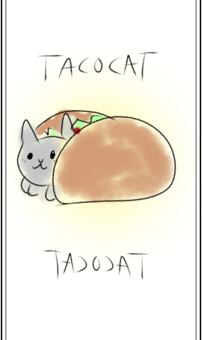 tacocat sketch