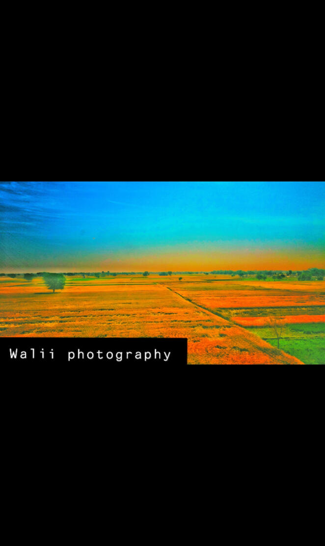 Walii photography