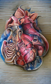 Anatomical heart