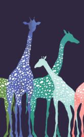 Giraffes