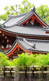 Amazing Architecture