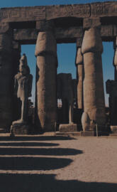 Luxor temple