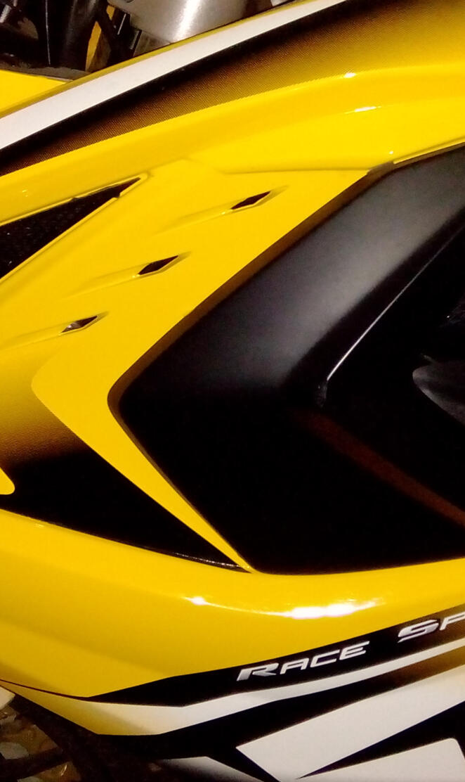 Pulsar RS200 Fairing