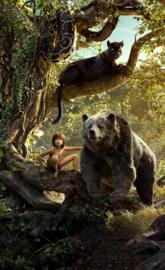 Jungle Book