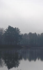 Foggy Lake