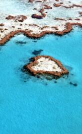 Heart Reef