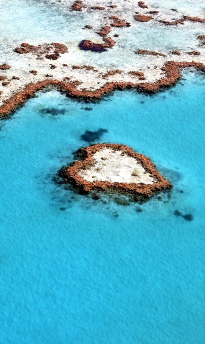 Heart Reef