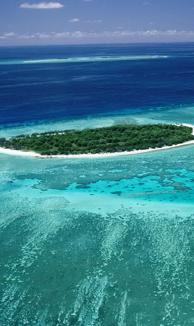 Lady Musgrave Island
