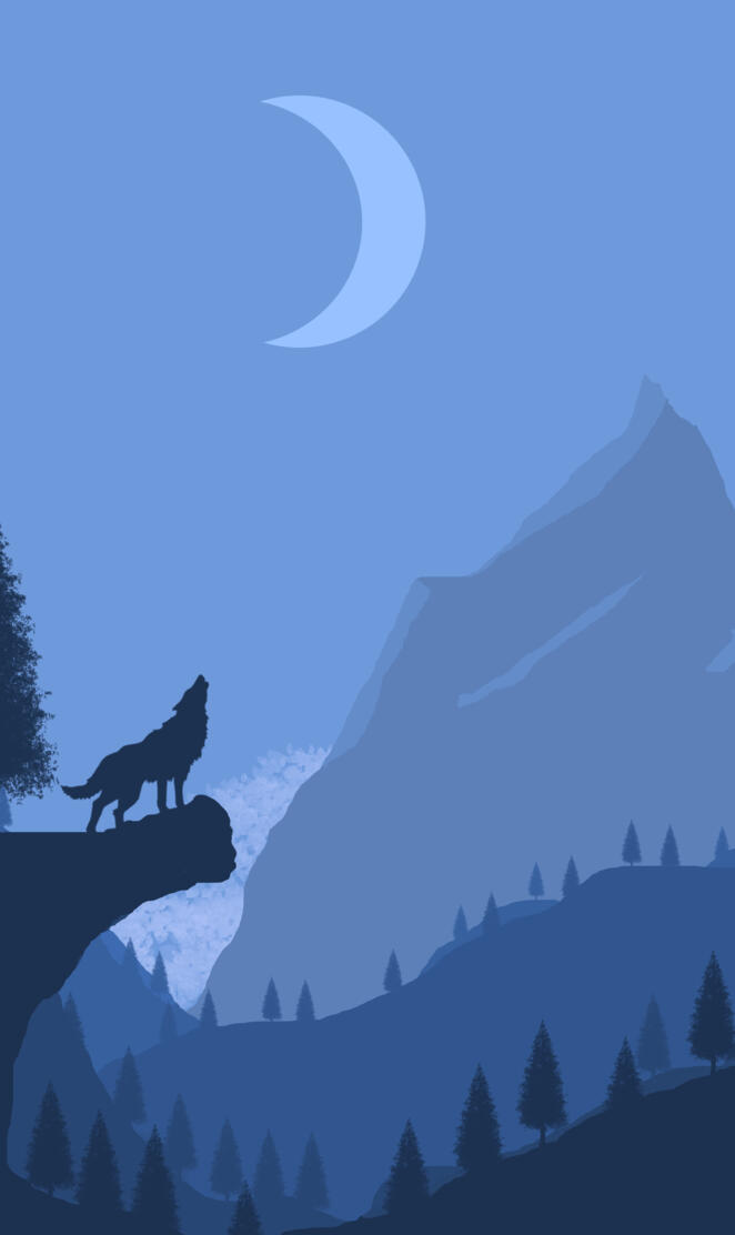 Wolf on the cliff