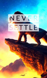 Never Settle Lion 2