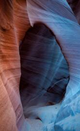 Canyon antelope