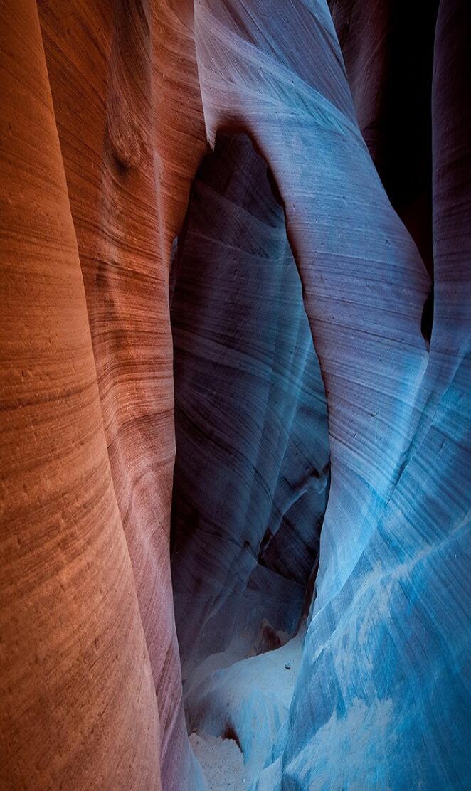 Canyon antelope