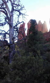 Canyon At Dusk
