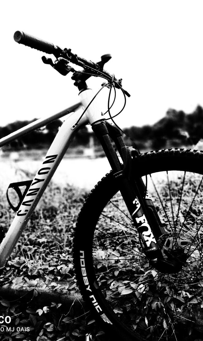 Canyon mountain bike