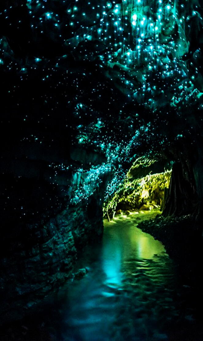 Glowworm Cave