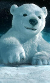 Oso Polar Alegre