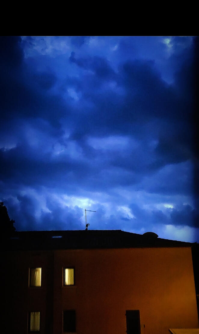 Lampi di notte