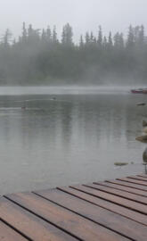 Foggy Lake
