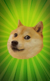 All Hail The Doge