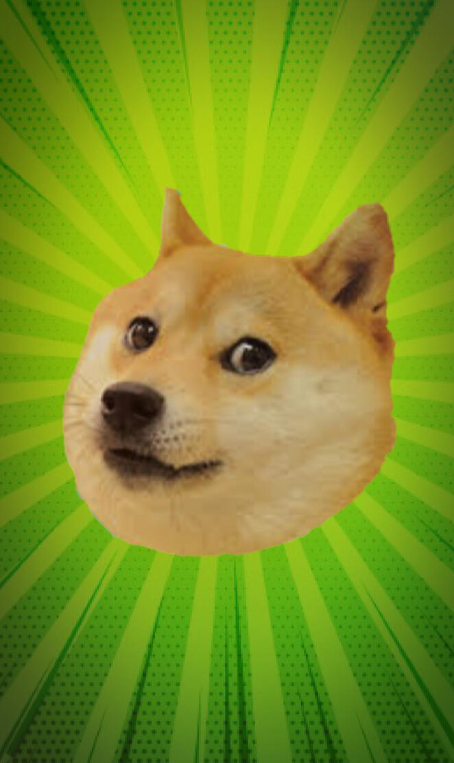 All Hail The Doge