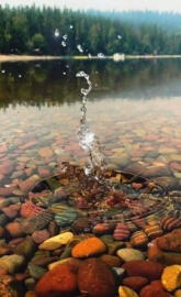 Glacier park Montana