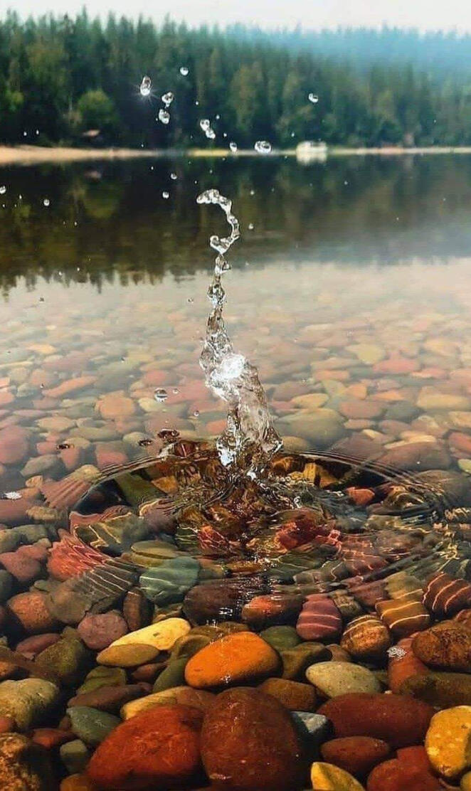 Glacier park Montana