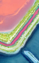 Colourful Beach
