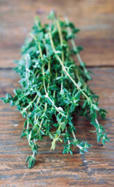 Thyme