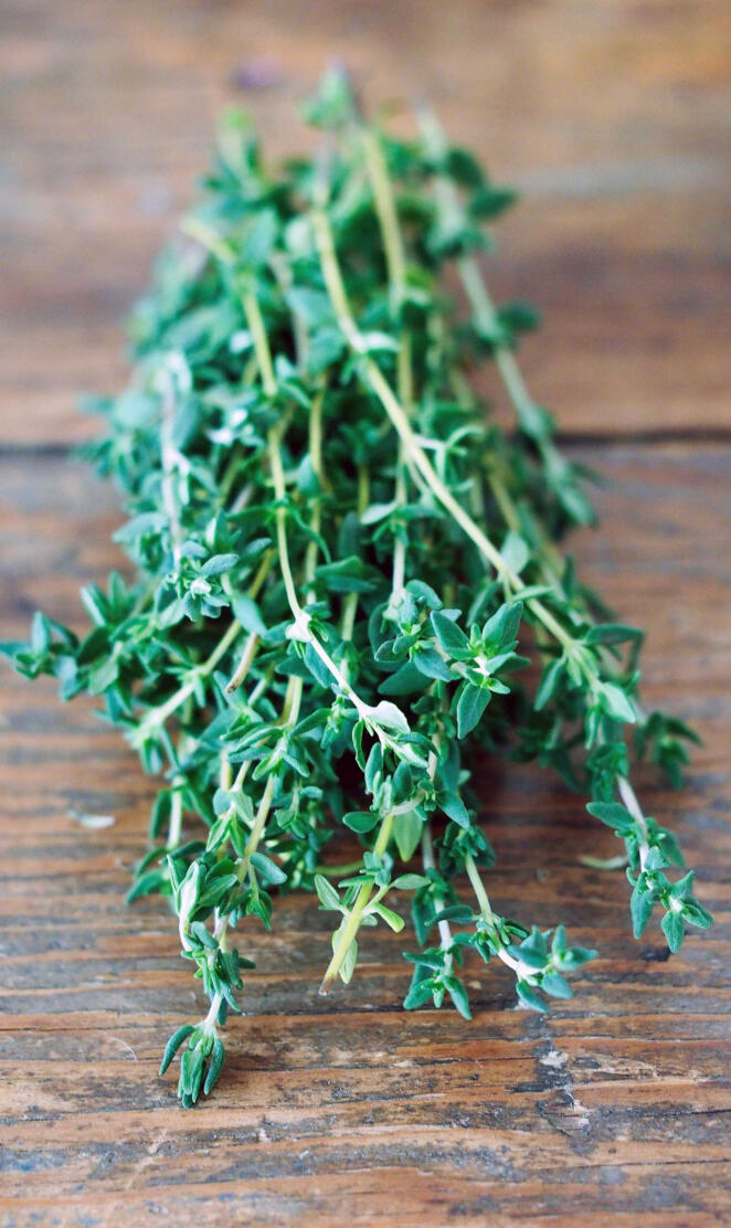Thyme