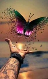 Youre Free