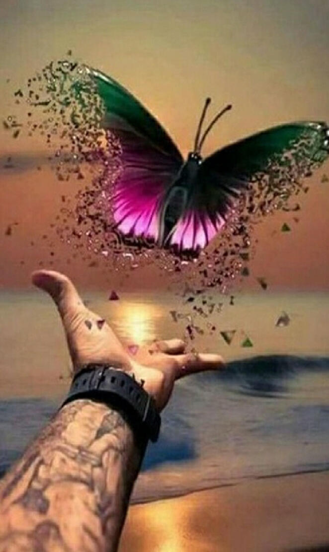 Youre Free
