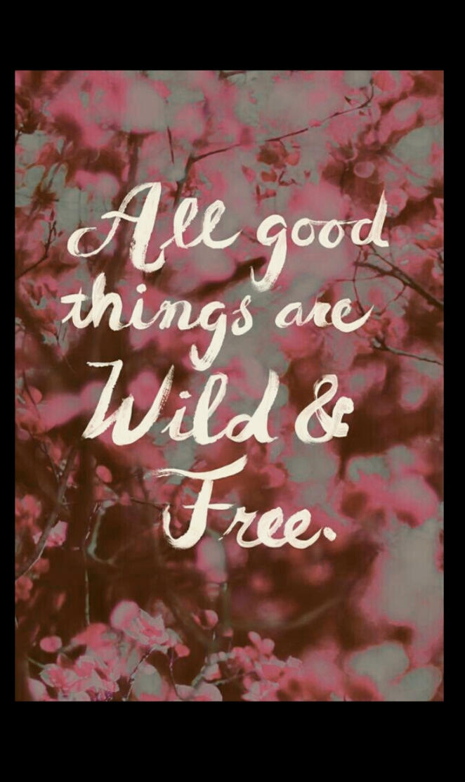 Wild And Free