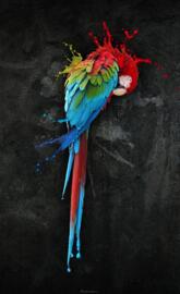 Parrot 3d