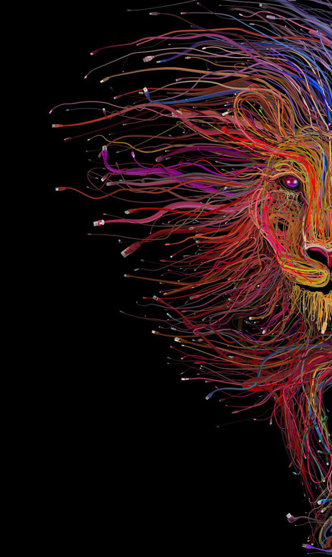 Lion creative art