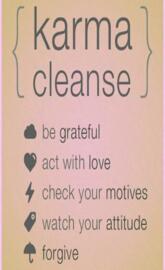 Karma Cleanse