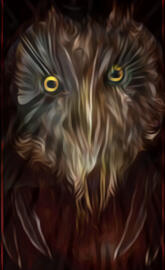 Oil Owl Abstracted