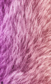 Colorful RPwallpaper