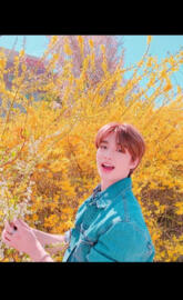 Hyunjin in Flowers