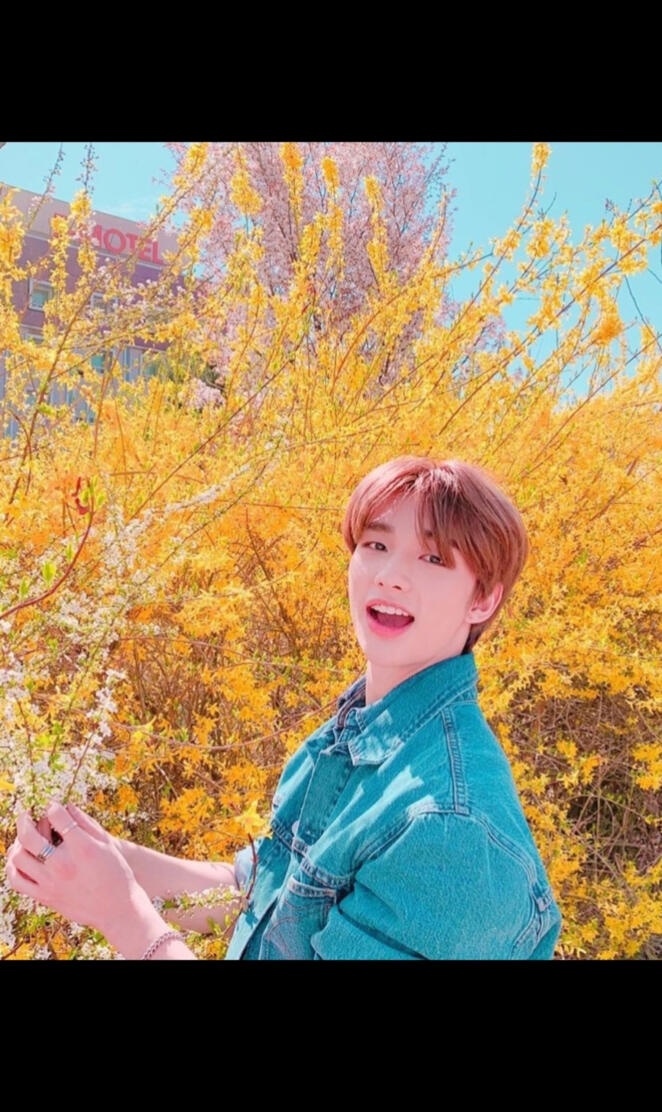 Hyunjin in Flowers