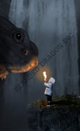 Bearded Dragon Story