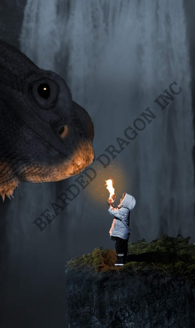 Bearded Dragon Story