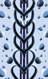 Climbing the ladder 2