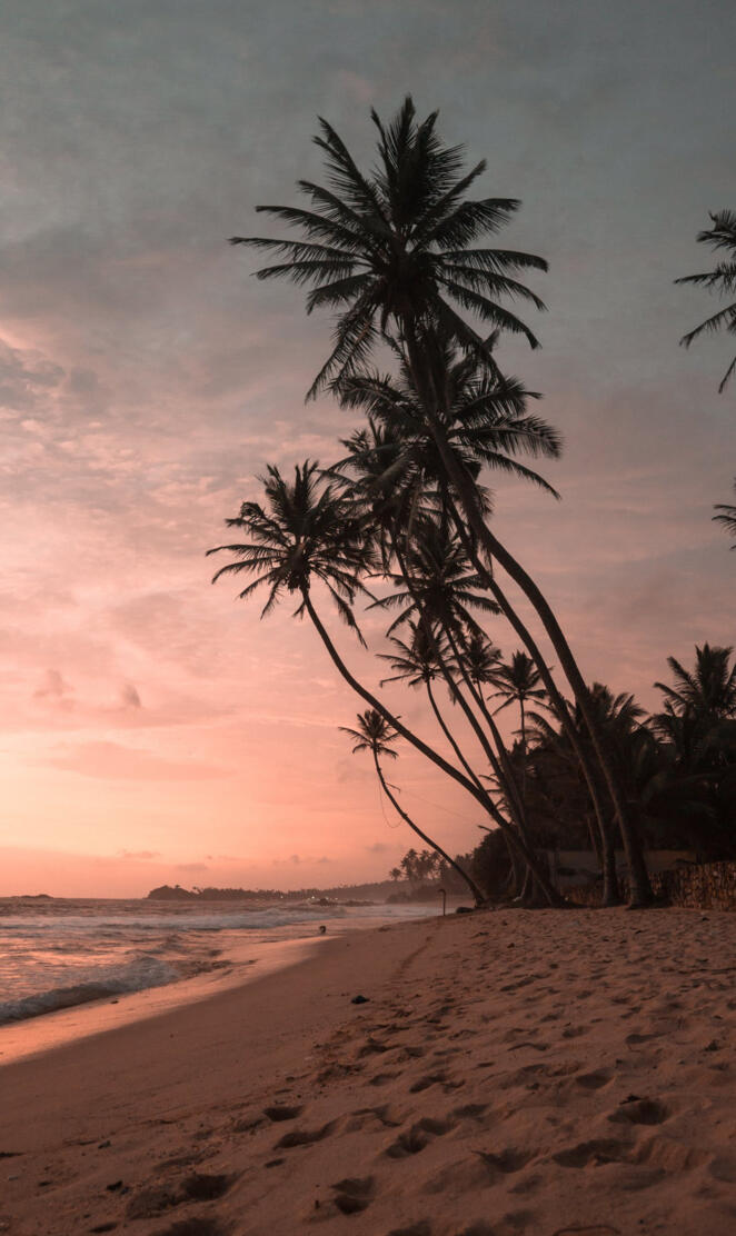 Manzara Wallpaper 4K