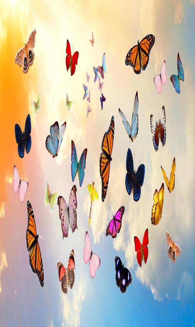 Butterflies hd