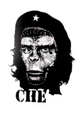 Che