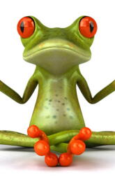 Frog In Yoga