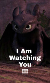 Toothlesswatchingyou