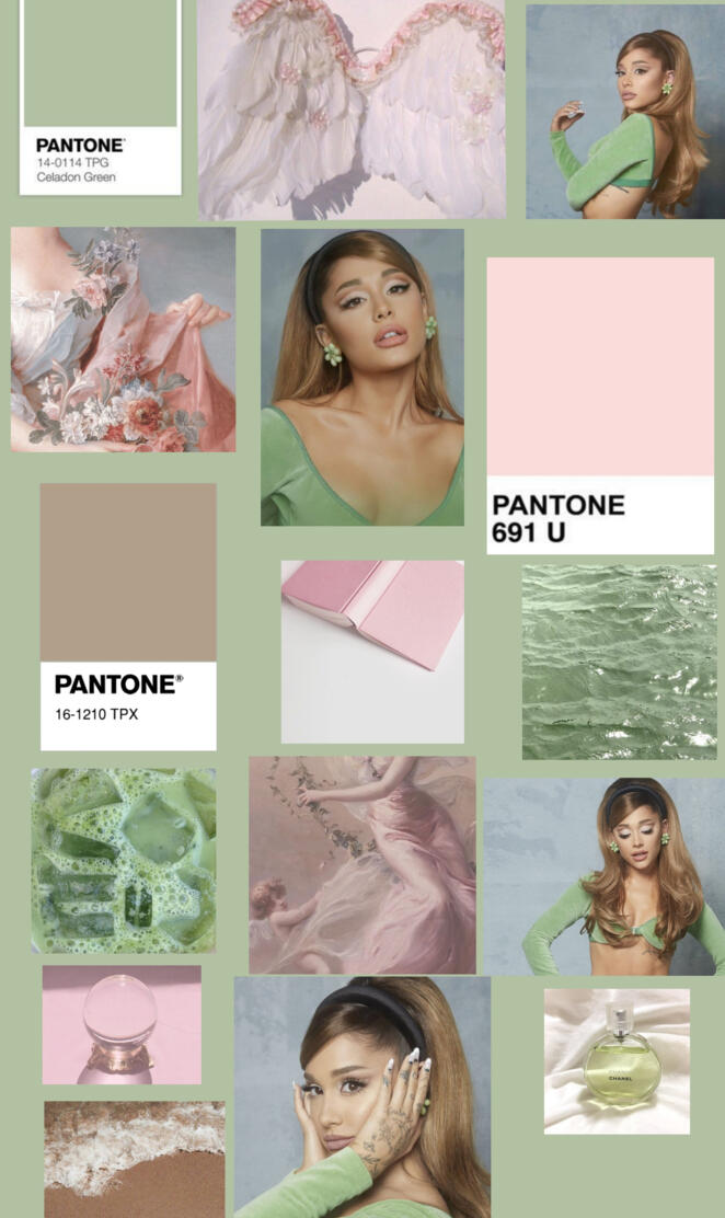 ariana positions