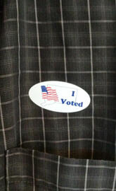 I voted