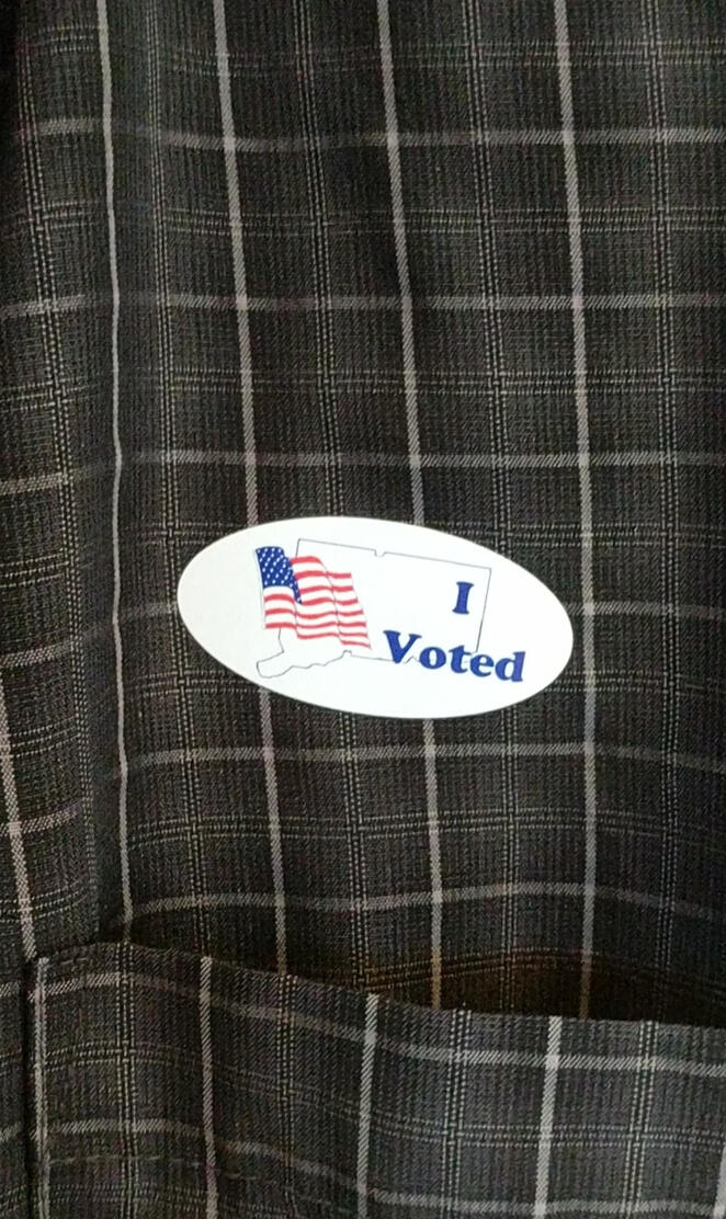 I voted